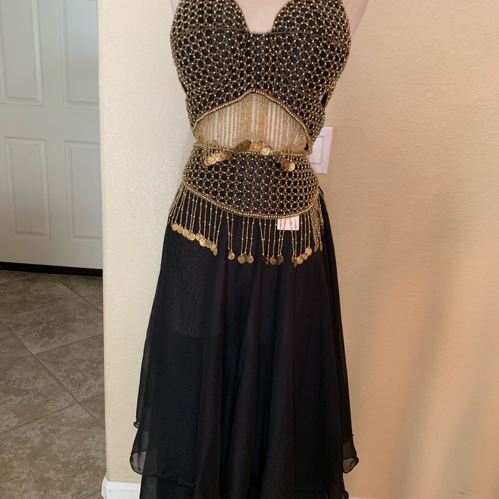 Super Cute Belly Dancer Halloween Costume - Picture 6 of 8